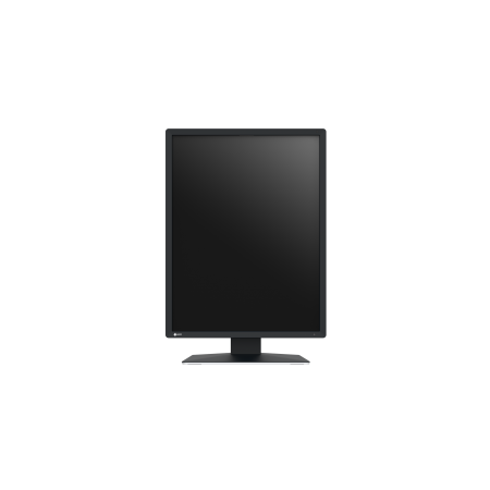 Eizo RadiForce MX217 - 21"