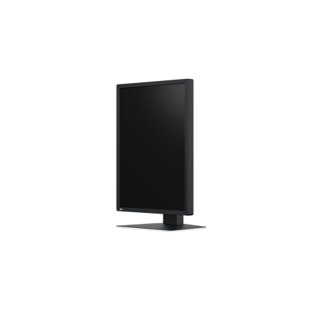 Eizo RadiForce MX217 - 21