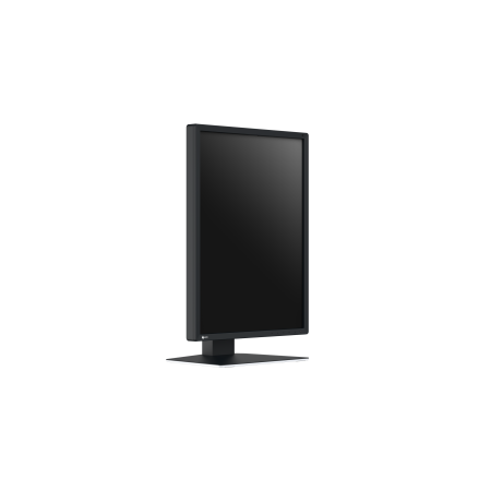 Eizo RadiForce MX217 - 21