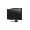 Eizo RadiForce MX317 - 30,5