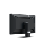 Eizo RadiForce MX317 - 30,5