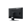 Eizo RadiForce MX317 - 30,5