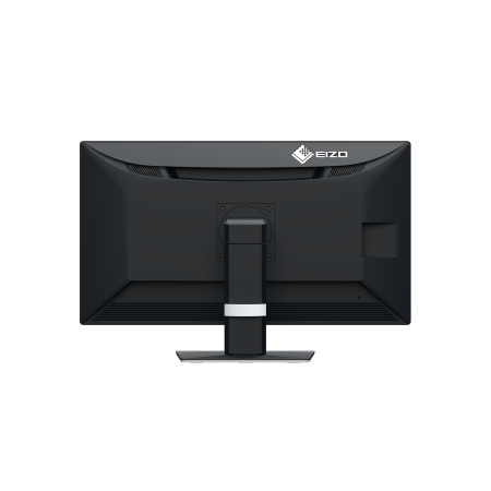 Eizo RadiForce MX317 - 30,5