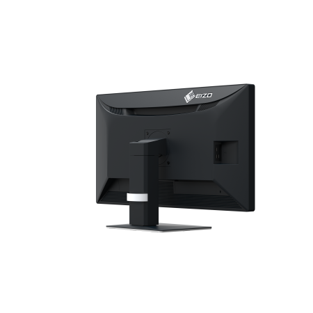 Eizo RadiForce MX317 - 30,5