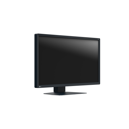 Eizo RadiForce MX317 - 30,5