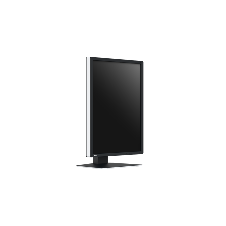 Eizo RadiForce RX270 - 21,3"