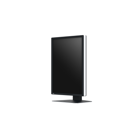Eizo RadiForce RX270 - 21,3