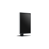 Eizo RadiForce RX370 - 21,3