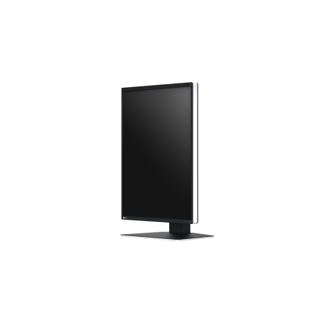 Eizo RadiForce RX370 - 21,3