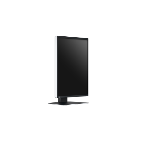 Eizo RadiForce RX370 - 21,3