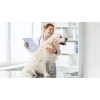 Elektroniczna waga weterynaryjna CHARDER VS 2400 (przewód 5 m)