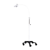 Lampa bezcieniowa LED FLH-3 Badawczo-Zabiegowa ze statywem na pięciu kółkach, z gęsią szyją
